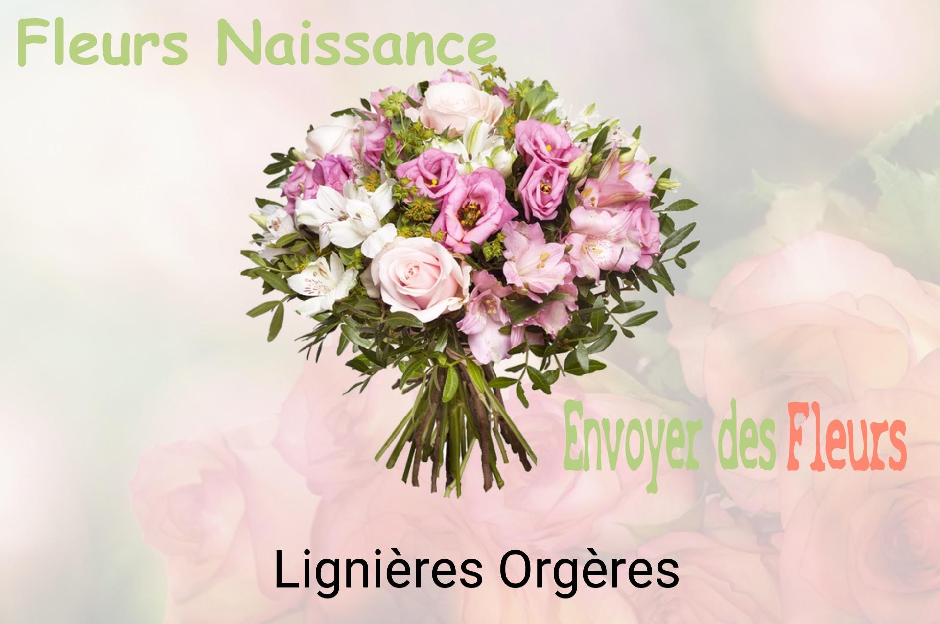 Bouquet de fleurs de naissance livré à Lignières-Orgères